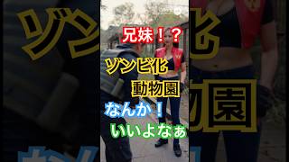 ゾンビ化動物園、今回は兄妹でイクッ！#バイオハザード #ゾンビ