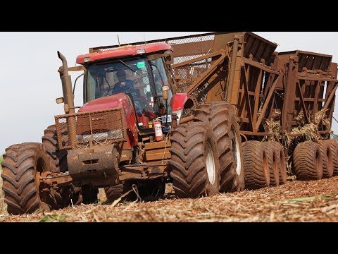 Landwirtschaft in Südamerika - Brasilien, Argentinien und Chile [3x DVD Vorschautrailer]