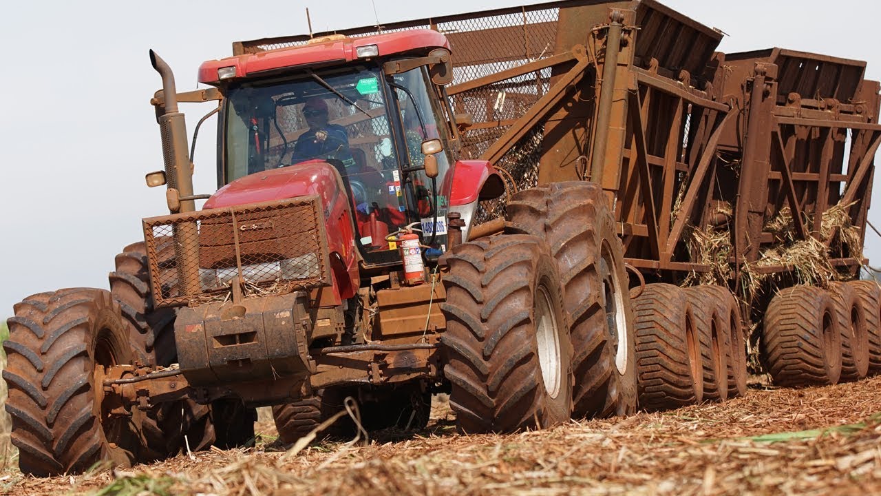 Landwirtschaft in Südamerika - Chile