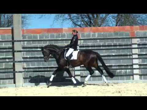 Stoiber SN 01 04 2012