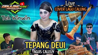 Download lagu TEPANG DEUI (AGUS CALEUY) LAGU CALUNG _ COVER TEH WINWIN (Genjlong music) mp3