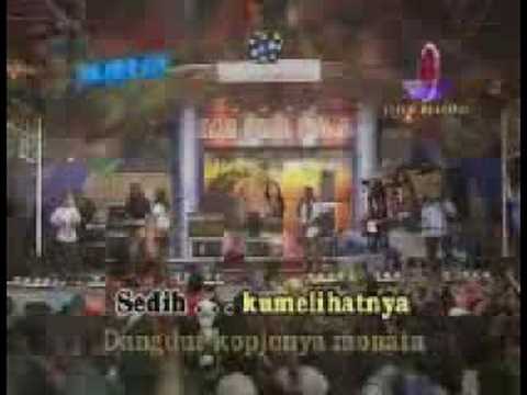 Nena fernanda (MONATA)