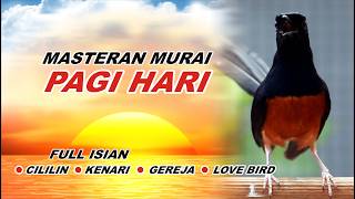 Download lagu 🔴 LIVE 12 - Masteran Murai Batu Pagi Hari Full Isian Tembakan mewah, Bikin Murai batu nyaut gacor mp3 Download lagu 🔴 LIVE 12 - Masteran Murai Batu Pagi Hari Full Isian Tembakan mewah, Bikin Murai batu nyaut gacor mp3