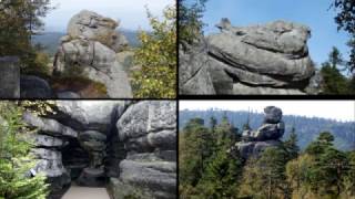 Masze Wędrówki w 2016 roku