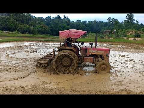🔴M&M 265 di 9tyne cultivator || mud plough old method || 🚜