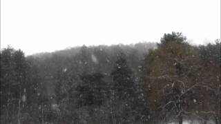 Liz Story - Wedding Rain