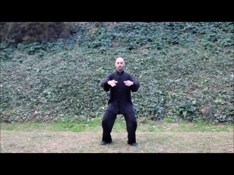 Wu Xing Qigong  - 5 Elementos / Elements