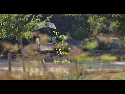 Pascuala Ilabaca Y Fauna - Son de la Vida (Vídeo Oficial)