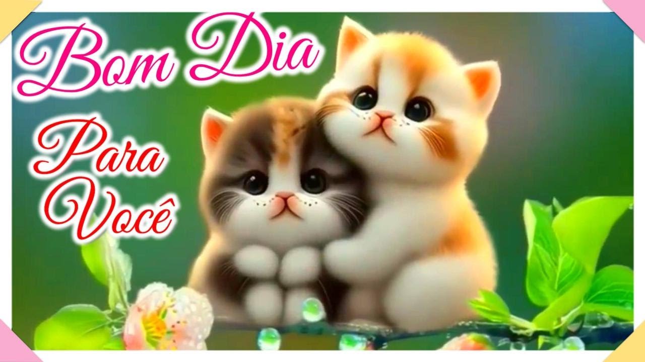 Mensagem de Bom Dia 🌹 Deseje um Bom Dia Para Quem Você Ama 🌞