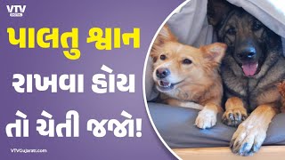 article-logo