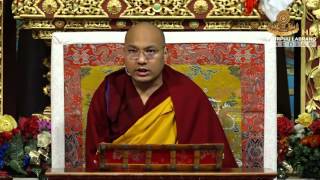 El precioso ornamento de la liberación 4/12