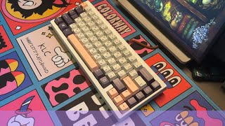 Shelby65 / pc plate / hmx sonja