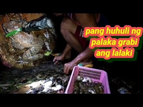 pang huhuli ng palaka sa gabi