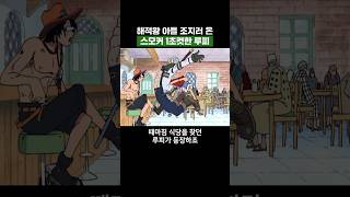원피스) 해적왕 아들 조지러온 스모커 1초컷한 루피