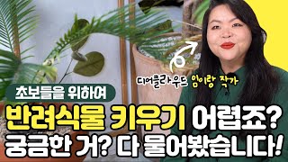 [궁금해?물어봐!] 반려식물 키우기 어려운 사람들을 위한 전문가의 꿀팁(with.디어클라우드의 임이랑 작가)