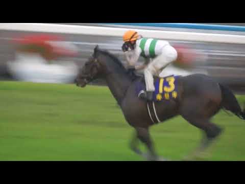 第78回菊花賞2017/キセキが呼んだM.デムーロ騎手菊花賞初制覇。史上稀にみる不良馬場(2017.10.22)