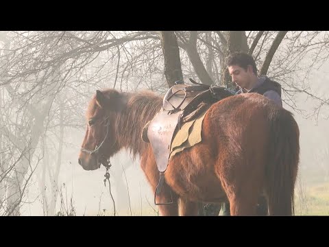 Kristijan vrijedno radi na ostvarenju svog sna da napravi pravu farmu