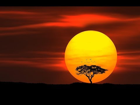 Lion King - Ο κύκλος της ζωής (The circle of life) GREEK