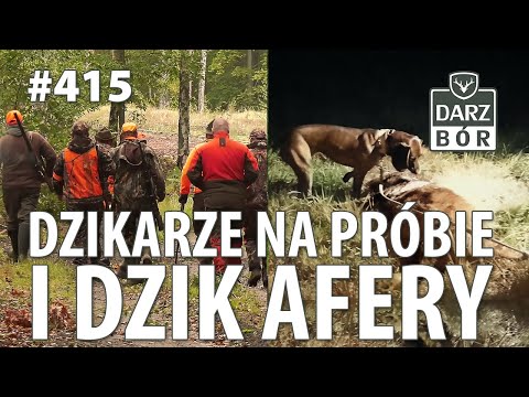 Darz Bór odc. 415 Dzikarze na próbie i dzik Afery.