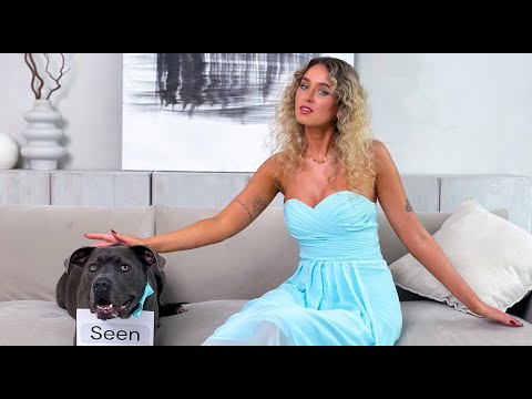 Rūta Budreckaitė - Birželio Vakarais