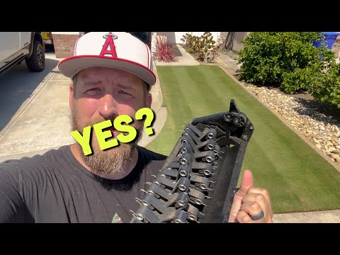 Should you Dethatch Bermuda Grass? + Cutting TifTuf at 5mm 1/4"