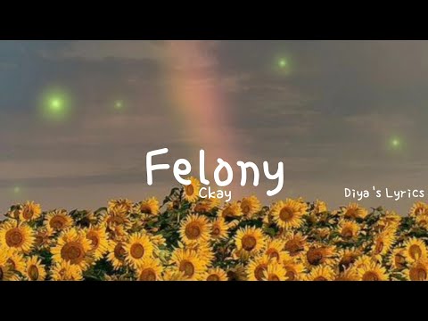 Ckay - Felony (Lyrics)