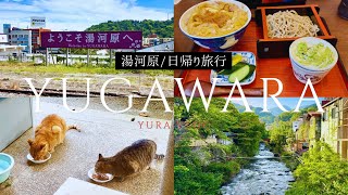 その日の気分で、湯河原へ日帰り旅行｜こごめの湯（子宝の湯）♨️猫に遭遇🐱