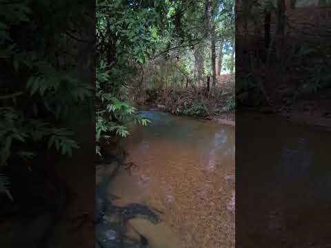 Chácara em Senador Canedo com 4.200m² com córrego no fundo! Local tranquilo e familiar. R$650.000,00