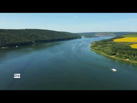 DISCOPAPA & Anya Arfeeva - Sunset