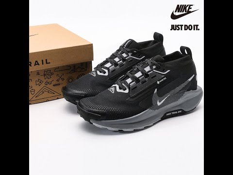 Nike Pegasus Trail 5 GORE-TEX 'Black Wolf Grey' FQ0908-001 https://bityl.co/SrgE