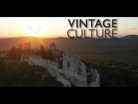 Vintage Culture - THe Best Of ... for me...