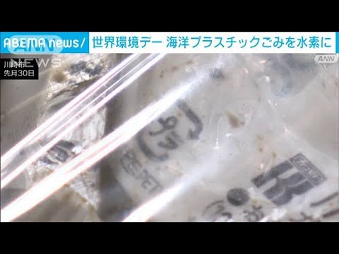 オットセイの糞に含まれるプラスチック繊維
