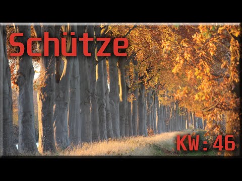 ♐ Schütze - KW 46 ♐  -  Tarot Wochenausblick  -