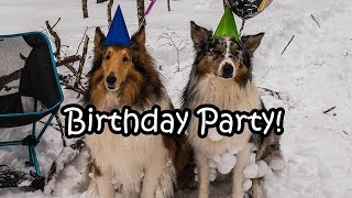 Hike and Cook - Monty&#39;s Birthday!