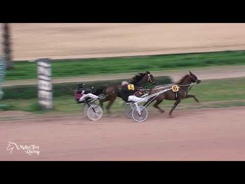 Tigrijiet tad-Dilettanti- 09/01/2021