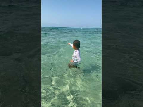 Kids Learn Why They Shouldn’t Swim Too Far 🌊