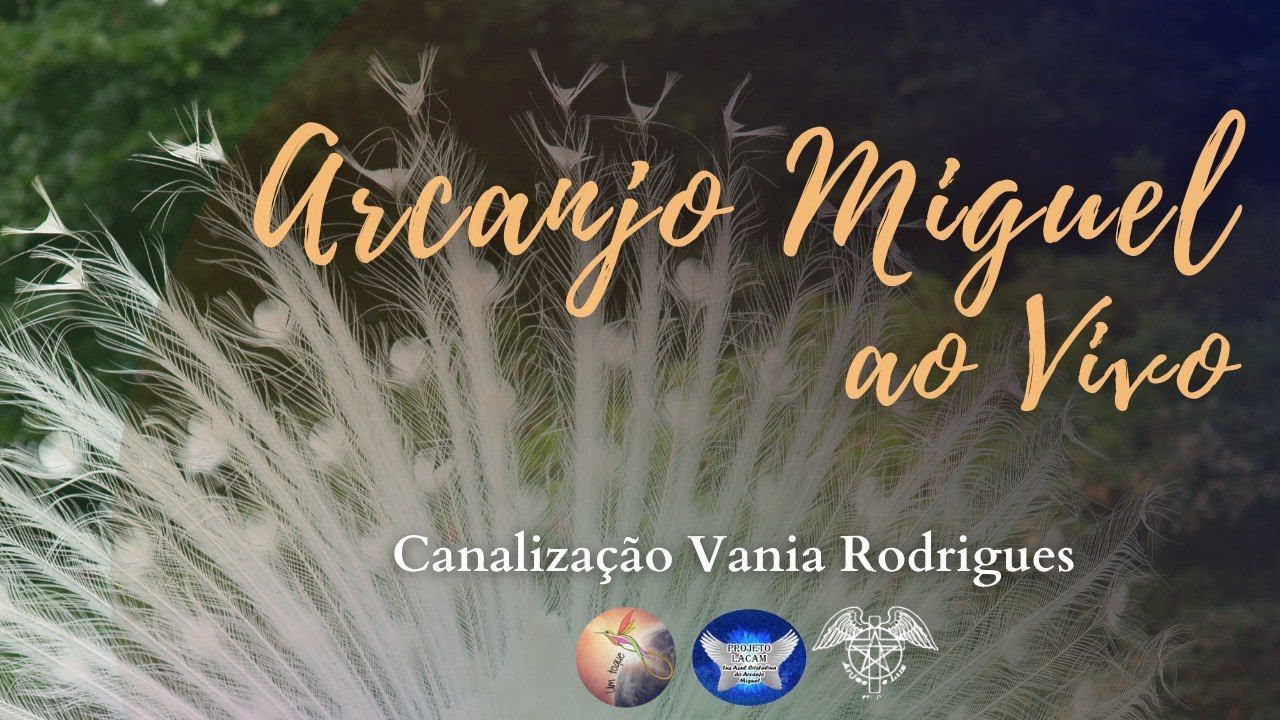 Live de Fim de Ano com Arcanjo Miguel, Vania Rodrigues e Ruy Girão - Hoje às 20:30h - 19-12-24