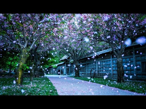 09. Surah At Tawbah - Al Quran With Bangla Translation Full - By Sodais and Shuraim