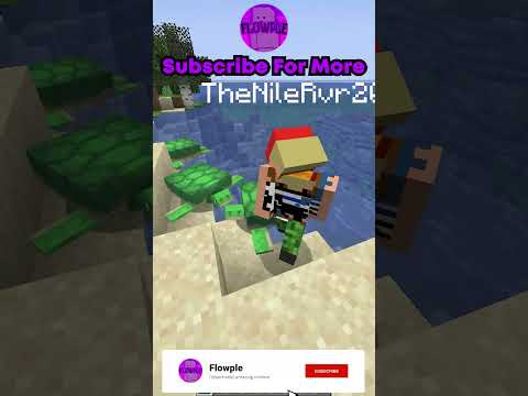 Morph into any mob in Minecraft?!