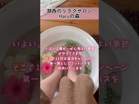 庭にリラクゼーションスペースを作るにはどうすればよいですか？快適で親密な空間をつくる5つのポイント  庭園