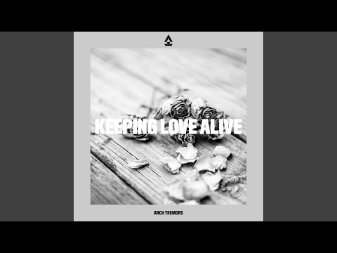 Keeping Love Alive (Paeta Remix)