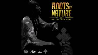 Roots By Nature & Miraflowers - Progress (LP 2016 