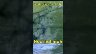 Download lagu Noerhalimah - Kembali Ke Jalan Allah #Shorts mp3