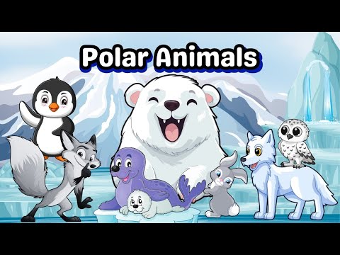 Arctic Adventure! ❄️| Learn Polar Animals for Kids (Real Footage + Cartoon Fun!) 🐻‍❄️