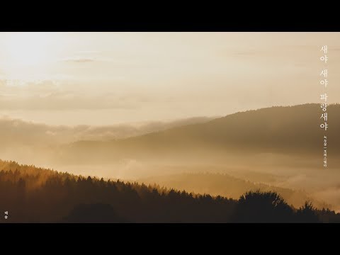 [녹두꽃 Nokdu Flower] 포레스텔라 FORESTELLA - 새야 새야 파랑새야 | Piano cover