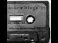 Assemblage 23 - Straitjacket (lyrics) 