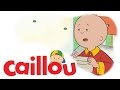 Caillou Caillou Mails A Letter S01E33 Videos For Kids