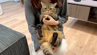 逮捕されたのにさらに罪を重ねるメル