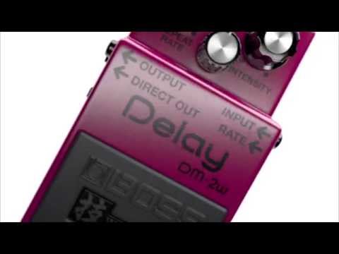 DM-2W Delay WAZA CRAFT series