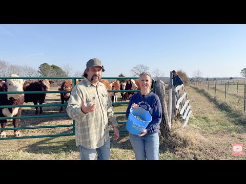 Productive Winter Day: Rabbits, Soil, & Perennials